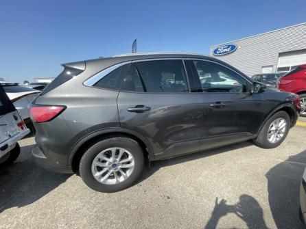 FORD Kuga 2.5 Duratec 225 ch PowerSplit PHEV Titanium eCVT à vendre à Troyes - Image n°4