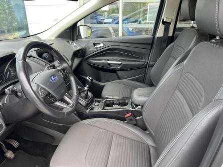 FORD Kuga 1.5 TDCi 120ch Stop&Start Titanium Business 4x2 Euro6.2 à vendre à Auxerre - Image n°10