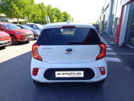KIA Picanto 1.2 84ch Launch Edition BVA à vendre à Melun - Image n°6